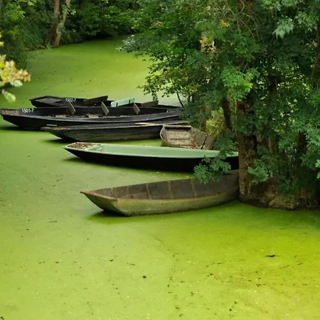 Hébergement de vacances In France Near Castle & Hiking Trails