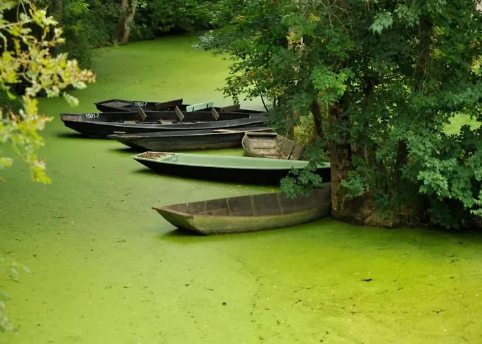 Holiday home In France Near Castle & Hiking Trails